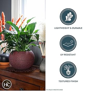 Amazon.com : The HC Companies 8 Inch Atlas Sphere Planter